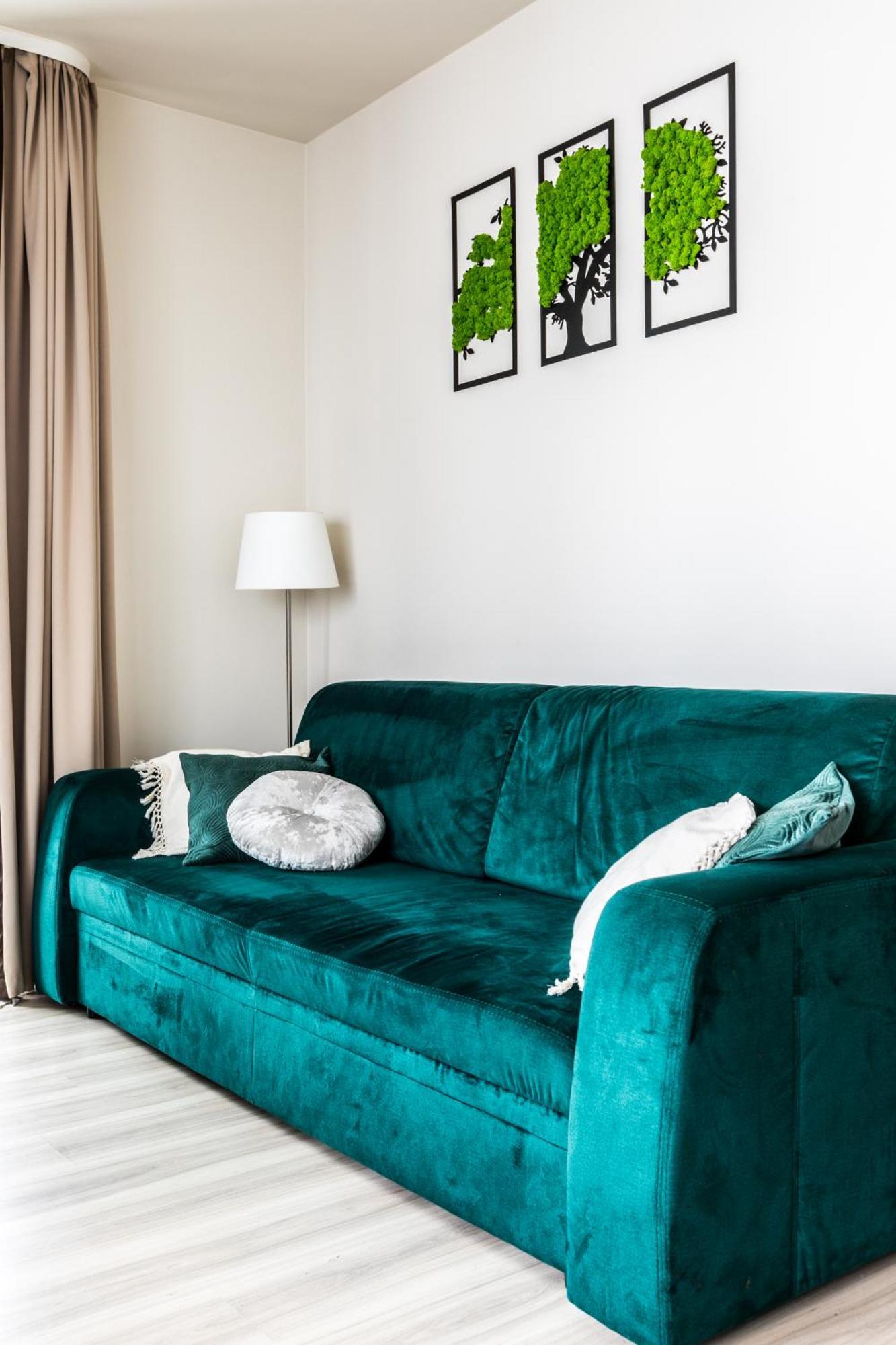 Apartament Panorama زاكوباني المظهر الخارجي الصورة